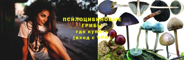 гидропоника Абдулино