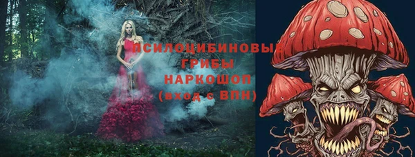 метамфетамин Алексеевка