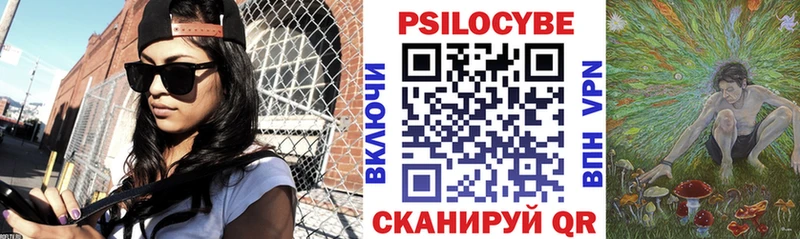 Псилоцибиновые грибы Psilocybine cubensis  Красноармейск 