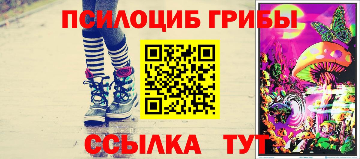 Галлюциногенные грибы GOLDEN TEACHER  Вход с VPN  Красноармейск 