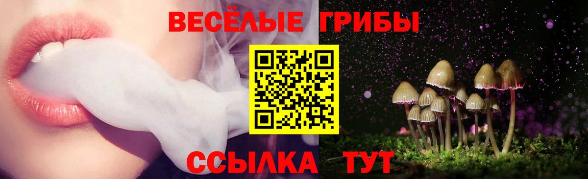 Псилоцибиновые грибы прущие грибы Красноармейск