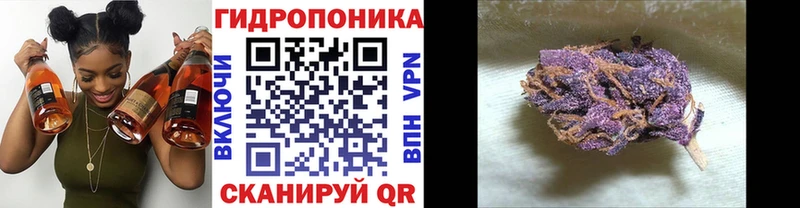 Конопля VHQ  даркнет сайт  Красноармейск 